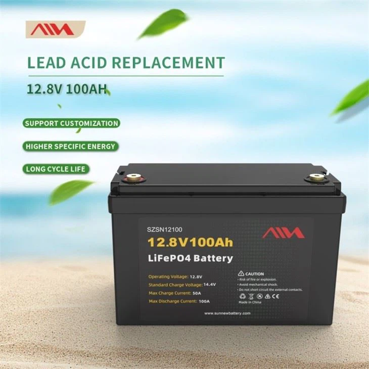 12V LiFePO4 battery 12V 100Ah.3
