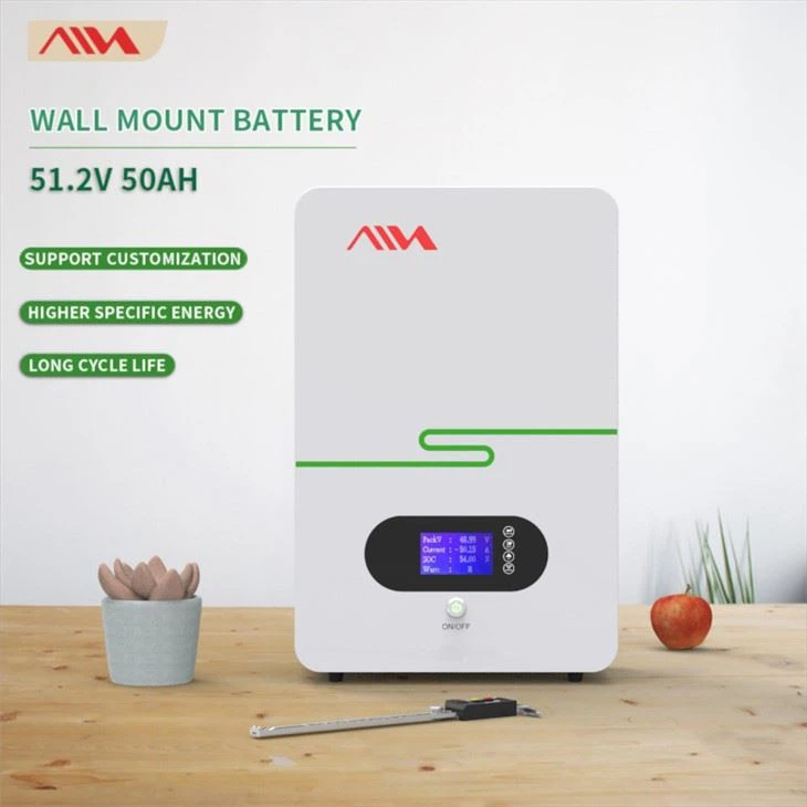 biguashi2.56kwhdianchi-wall mount battery 51.2V 50Ah.2